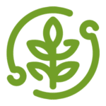img06-png
