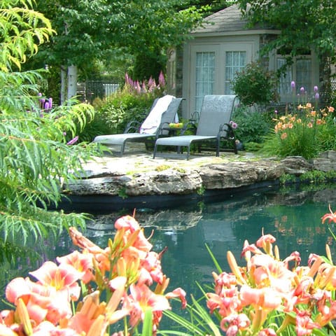 bassin-eau-da-8