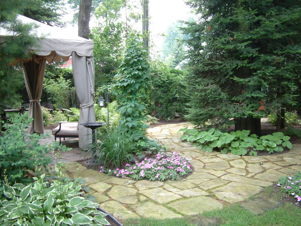 sous-bois-amenage-02